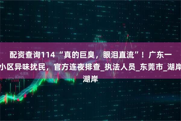 配资查询114 “真的巨臭，眼泪直流”！广东一小区异味扰民，官方连夜排查_执法人员_东莞市_湖岸